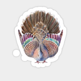 Australian Crested Pigeon Dance - Viva Magenta or purple background Sticker